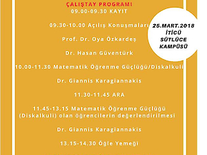 Kurucumuz Dr Gülçin Babaoğlu Diskalkuli Çalıştayına Katıldı.