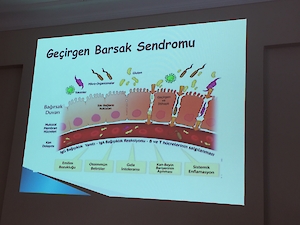 Aile Eğitimi, İşitme Dil Konuşma Birimi