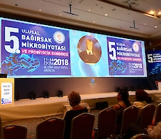 Marmaram Özel Eğitim