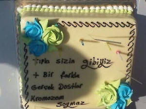 Dünya Down Sendromu Farkındalık Günü Etkinlikleri