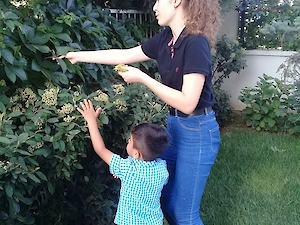 Toplumsal Hizmet Projesi