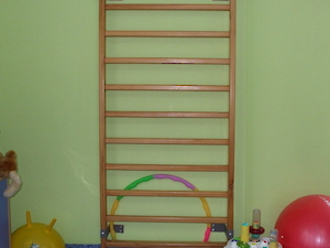 Bedensel Engelliler Destek Eğitim Programı