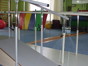 Bedensel Engelliler Destek Eğitim Programı