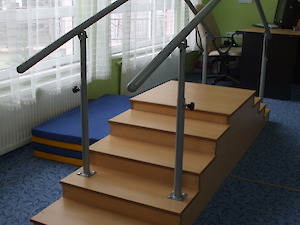 Bedensel Engelliler Destek Eğitim Programı