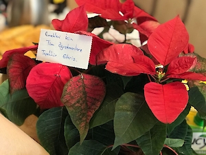 Bir Mezunumuz Daha Var