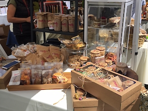 Kurucumuz Dr Gülçin Babaoğlu 6. Geleneksel Gaps Danişmanlari Bilgi Paylaşim Toplantisina Katıldı.