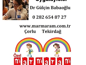 Dr Gülçin Babaoğlu Lisanslı Türkçe Prep Uygulayıcısı