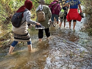 Doğa Yürüyüşümüzün Ardindan