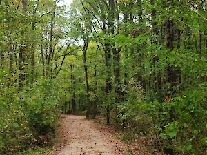 Doğa Yürüyüşümüzün Ardindan